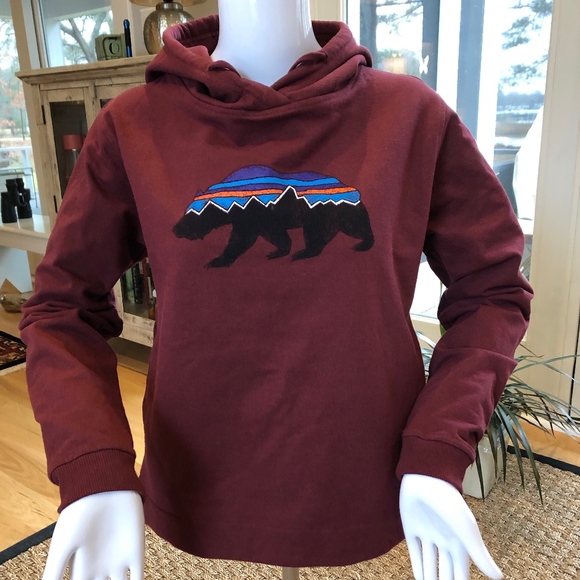 Patagonia Tops - Patagonia Womens Fitz Roy Bear Uprisal Hoody S NEW